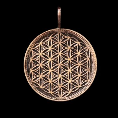 Flower of Life - Solid silver Half Crown (pre 1919)