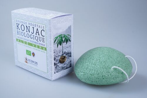 Eponge konjac biologique enrichie à l'aloe vera, en boite