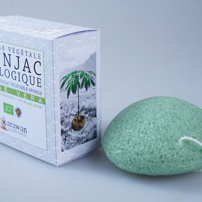 Eponge konjac biologique enrichie à l'aloe vera, en boite