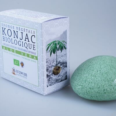 Organic konjac sponge enriched with aloe vera, in box