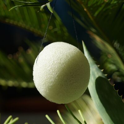 Organic Konjac sponge enriched with Aloe Vera, in bulk