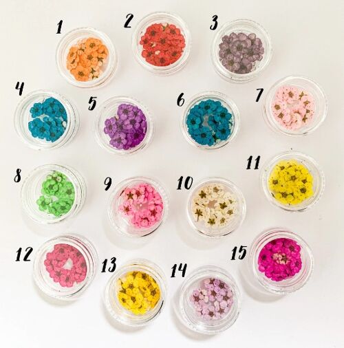 Mini Dried Pressed Flower 20 pcs Pots