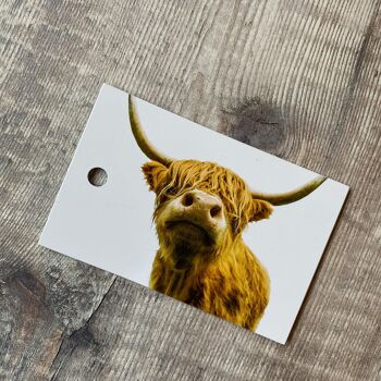 Emballage cadeau et étiquette de vache Highland - papier d'emballage 6