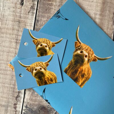 Emballage cadeau vache Highland sur fond bleu - papier d'emballage vache Highland