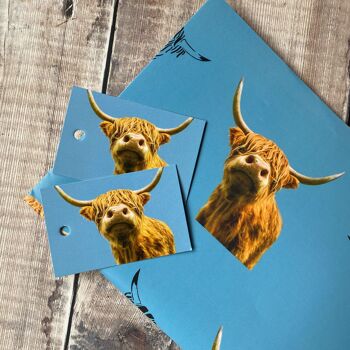 Emballage cadeau vache Highland sur fond bleu - papier d'emballage vache Highland 1