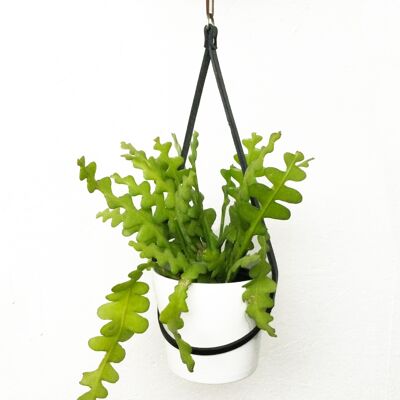 Plant Pot Holder Black