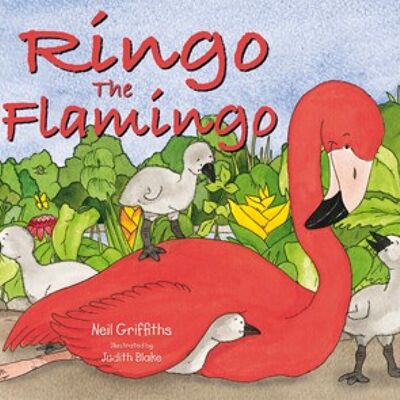 Ringo der Flamingo