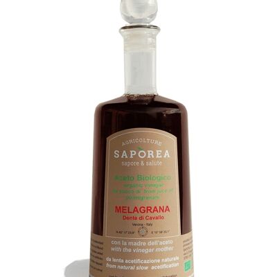 Vinagre de Granada Ecológico (500 ml)