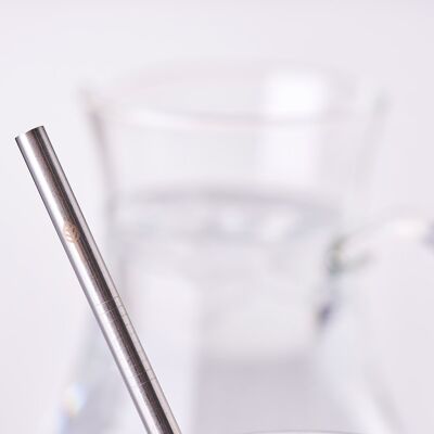 Stainless Steel Drinking Straws - loose
