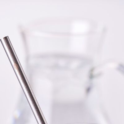 Stainless Steel Drinking Straws - loose