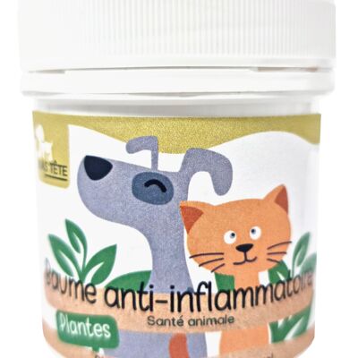 Bálsamo antiinflamatorio 80g