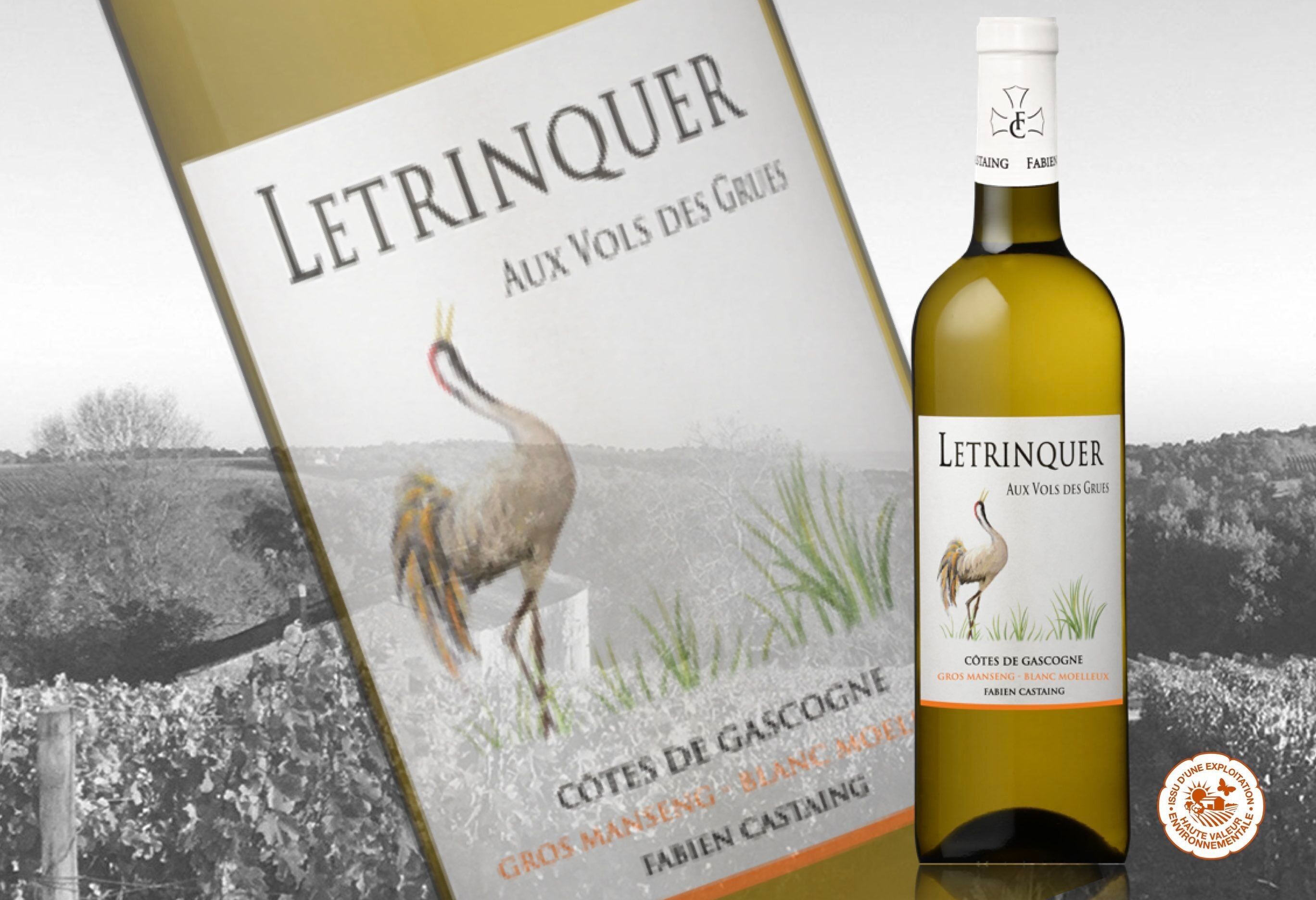 Vino bianco dolce Côtes de Gascogne Letrinquer Aux Vols Des Grues 75cl