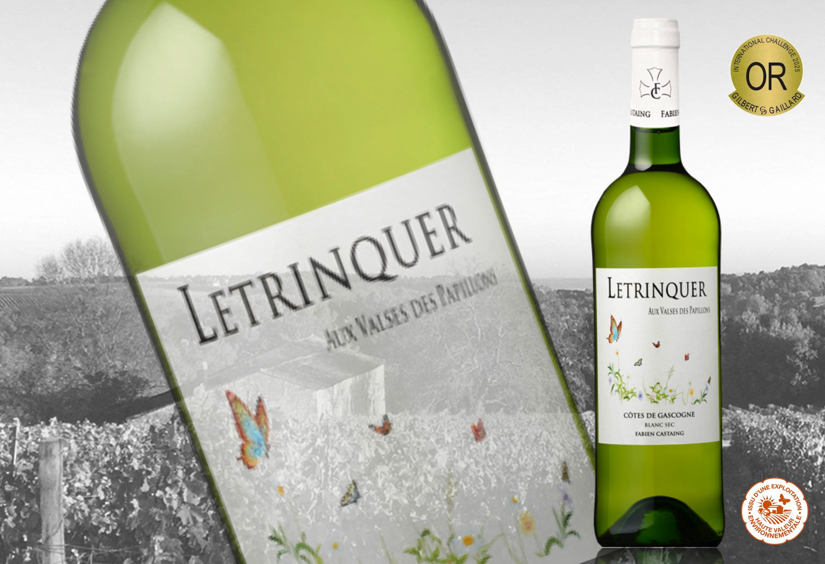 Trockener Weißwein Côtes de Gascogne Letrinquer Aux Valses des Papillons 75cl