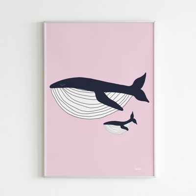 Affiche 'Baleines'