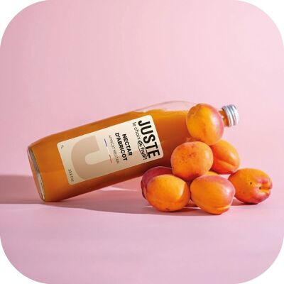 SOLO LA SCELTA DELLA FRUTTA - NETTARE DI ALBICOCCA 1L X 6