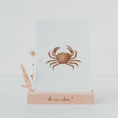 Watercolor card beach crab (PU = 10 pieces)