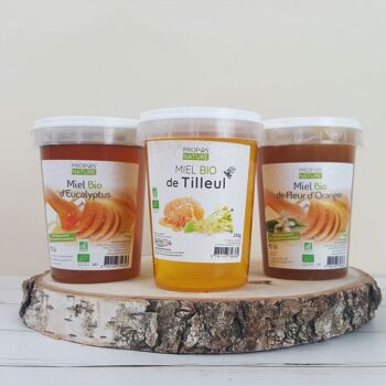 MIEL DE TILLEUL BIO - 250g 4