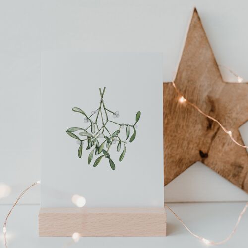 Aquarellkarte Mistletoe (VE = 10 Stück)