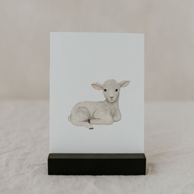 Watercolor card Lamb (PU = 10 pieces)