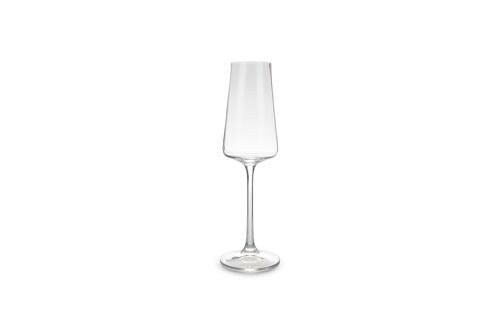 Champagneglas 23cl Muze - set/4