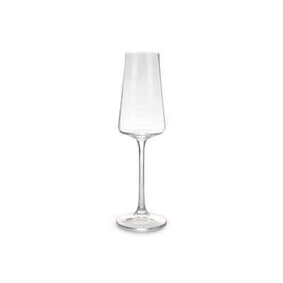 Champagneglas 23cl Muze - set/4