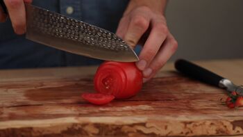 Couteau de Chef Gyuto - lame de 200 mm 13