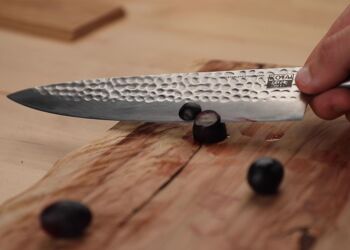 Couteau de Chef Gyuto - lame de 200 mm 2