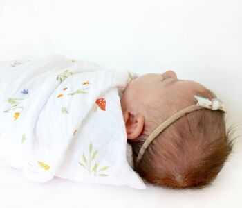 Forest- Single Swaddle/Large Muslin {Hare and Tortoise Collection} with the Little Book 3