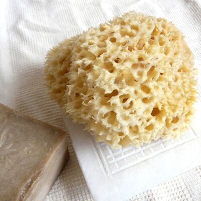 NATURAL SEA SPONGE - 12 cm