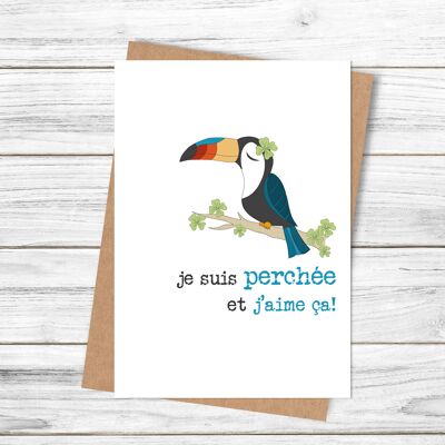 Good Luck Toucan - French Greetings Card