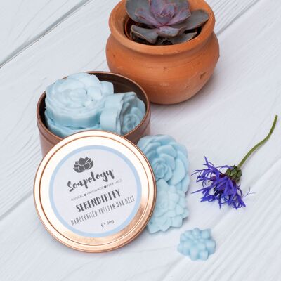 Serendipity Natural Soy Wax Melts