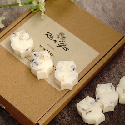 Rock Salt & Driftwood Scented Wax Melts