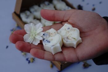 Fondants de cire parfumés aux baies d'hiver 4