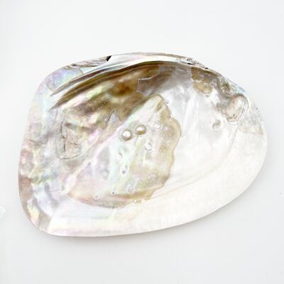 Mother-of-pearl shell with encrusted pearl 15 cm