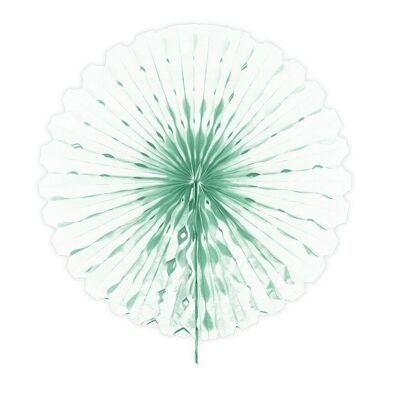 Honeycomb Fan Mint Green - 45cm