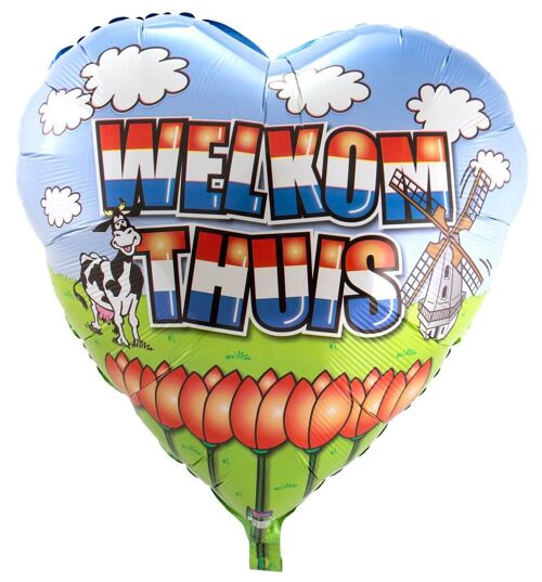 Welkom Thuis Ballon - 71cm