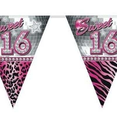 Sweet 16 Garland - 10 meters