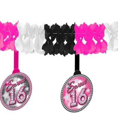 Sweet 16 Garland with hanger