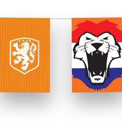 Bandera Línea Rectangular KNVB