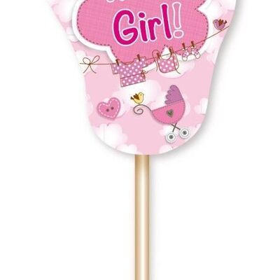 Birth Girl Picks It's a Girl - 24 pieces