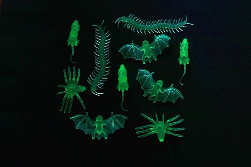Insecten Glow in the Dark - 10 stuks