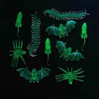 Insectes Glow in the Dark - 10 pièces