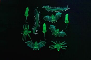 Insectes Glow in the Dark - 10 pièces 1