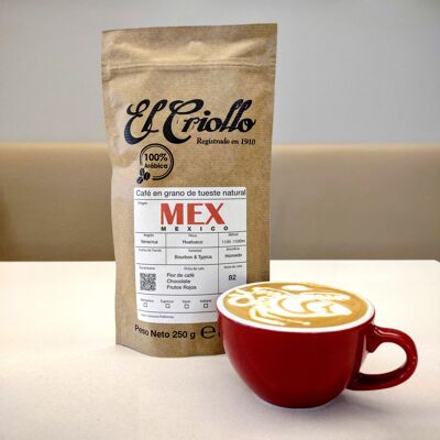 Specialty Coffee 'México Huatusco'