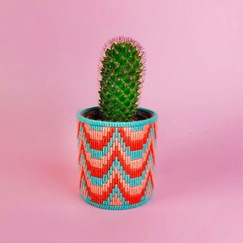 Bargello Plant Pot Kit