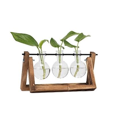 Vase à bulbe Hyindoor pour plantes hydroponiques