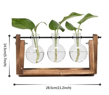 Vase à bulbe Hyindoor pour plantes hydroponiques 4