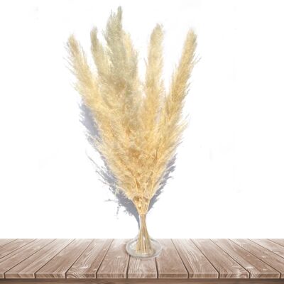 Fluffy Natural Large Pampas Grass for Home Decor -3 Stems 105cm