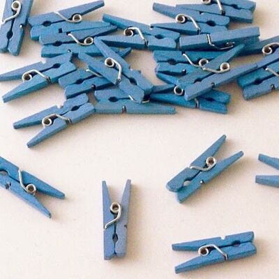 Pinces bleues - 24 pièces