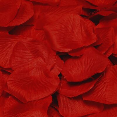 Lussuosi petali di rose rosso scuro